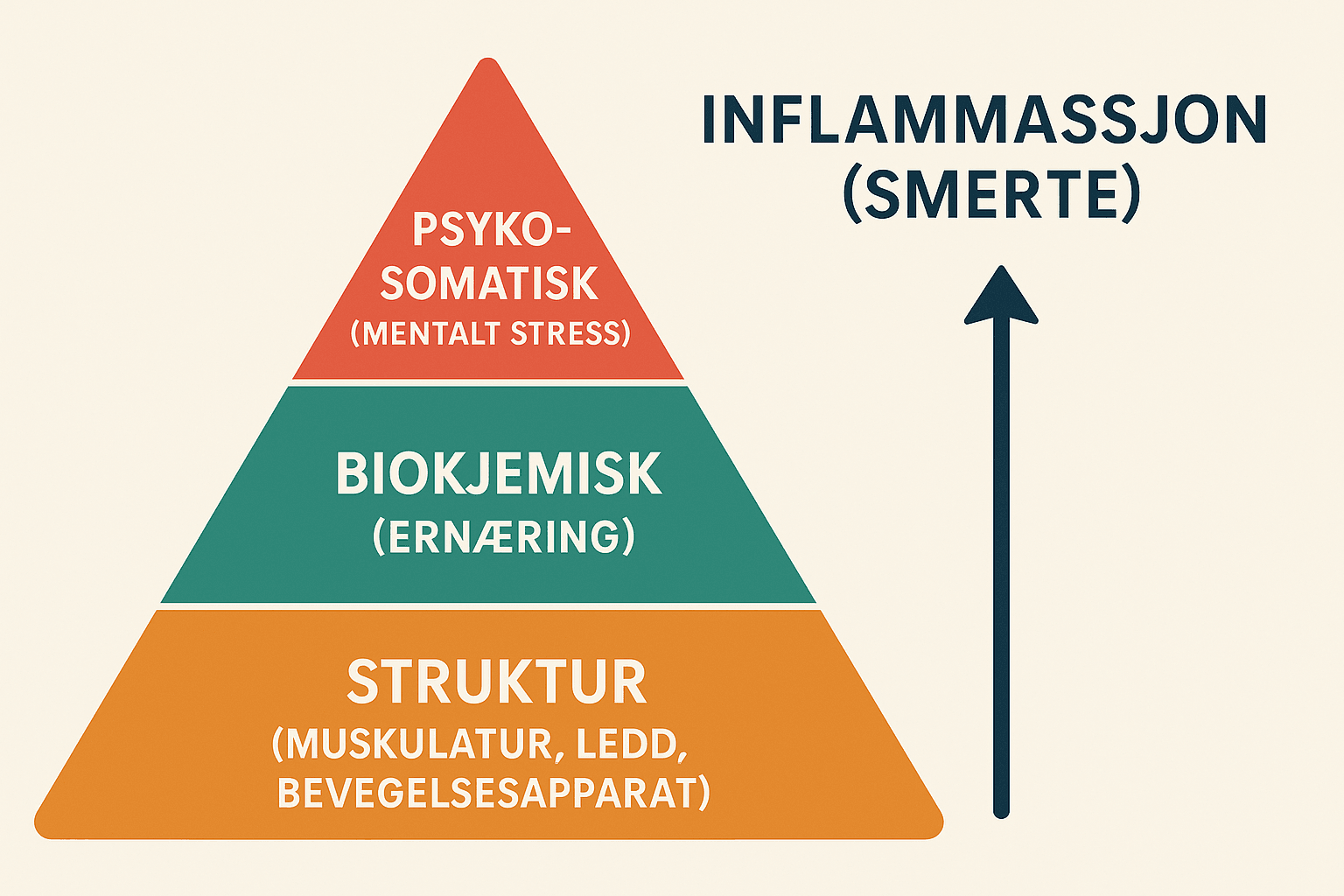 Diagram som viser vår behandlingsfilosofi med tre pilarer: Struktur, Biokjemi og Psykosomatisk
