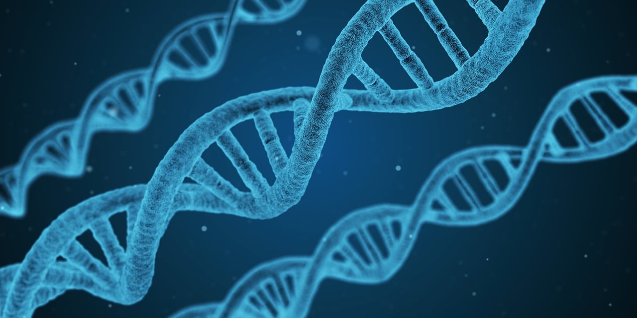 DNA gentesting - personlig tilpasset behandling basert på dine gener